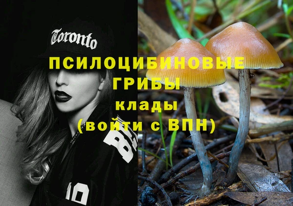 дживик Алзамай